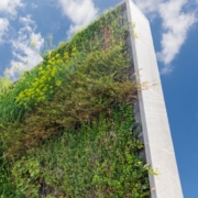 jardim-vertical-auto-irrigado