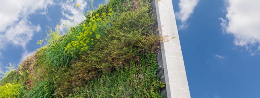 jardim-vertical-auto-irrigado