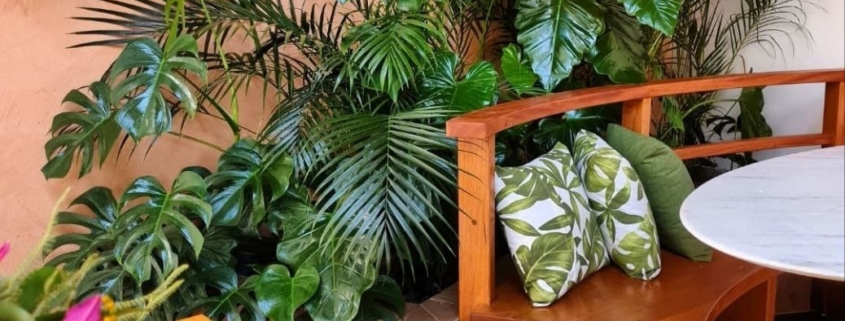 paisagismo para sacadas